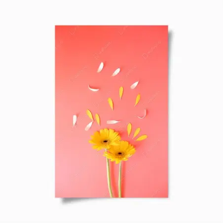 Poster sonnige gelbe gerbera auf korallfarbenem hintergrund – Pixers®