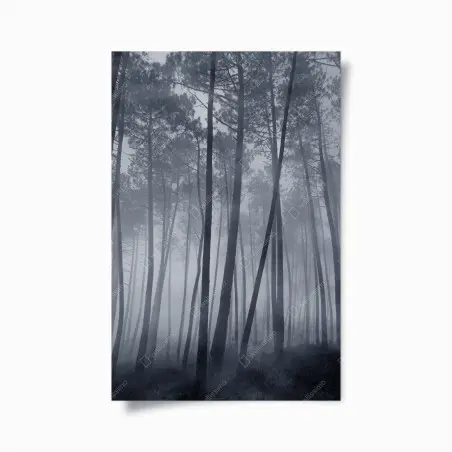 Poster nebliger kiefernwald bei nacht – Pixers®
