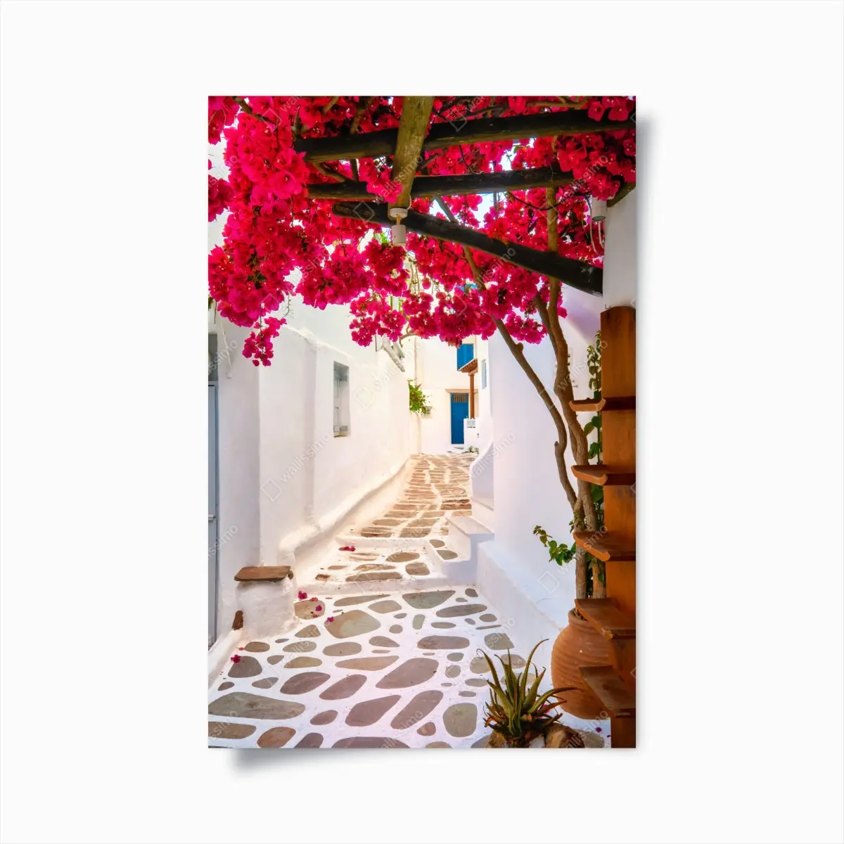 Poster sonnige gasse in Griechenland mit bougainvillea – Pixers®