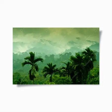 Poster neblige tropische dschungellandschaft – Pixers®