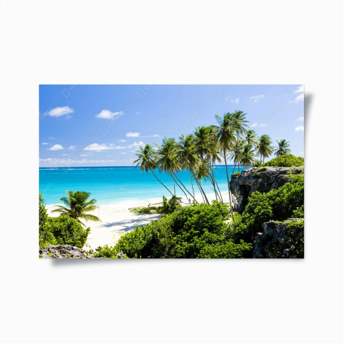 Poster Bottom Bay palmenstrand, Barbados – Pixers®