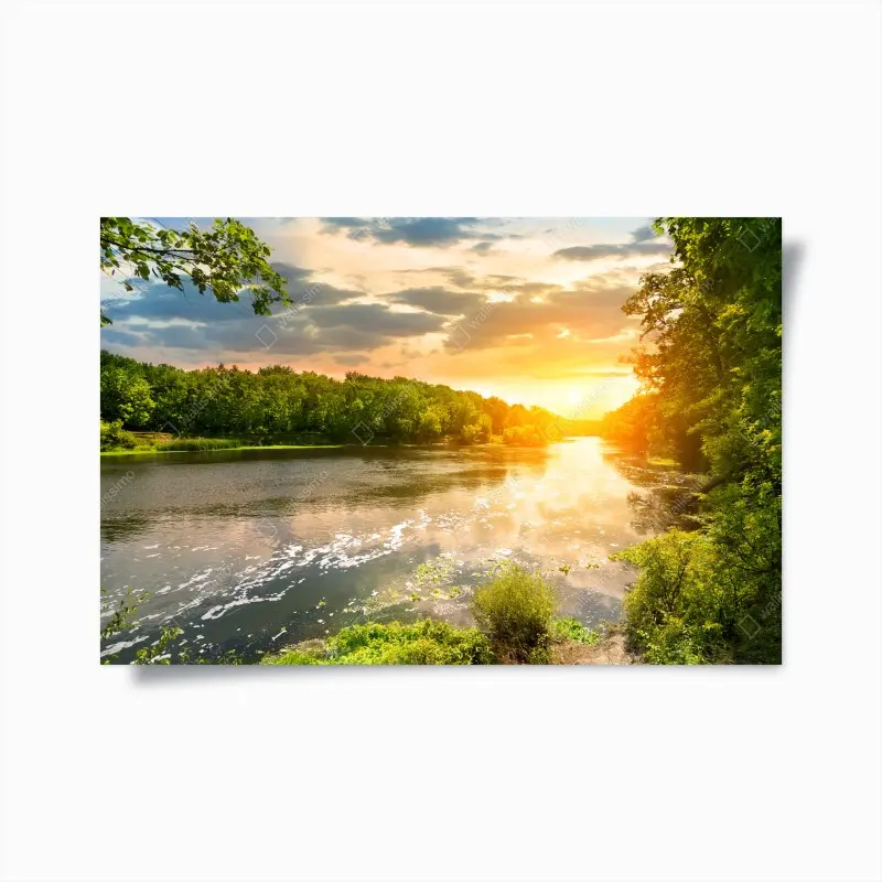 Poster ruhiger sonnenuntergang am fluss im grünen wald
