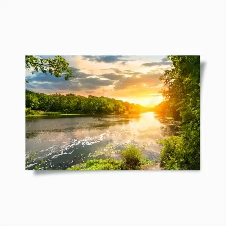 Poster ruhiger sonnenuntergang am fluss im grünen wald – Pixers®