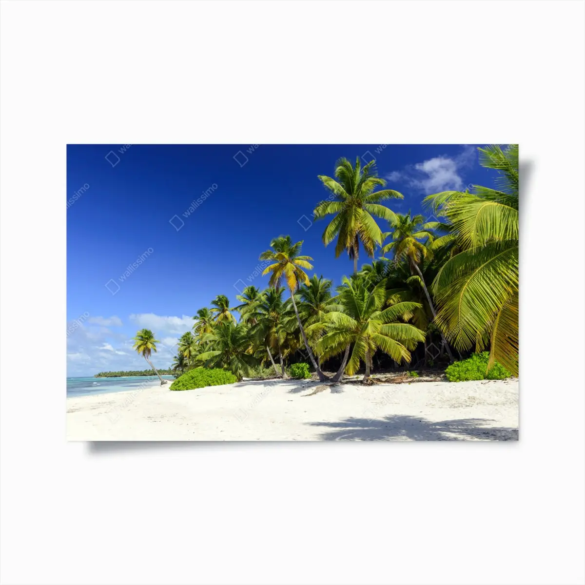 Poster ruhiger tropischer strand in Punta Cana – Pixers®