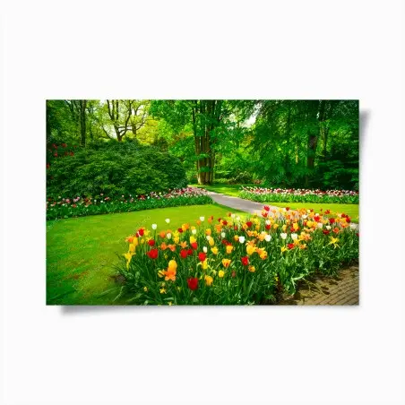 Poster lebendiger tulpengarten in Keukenhof – Pixers®
