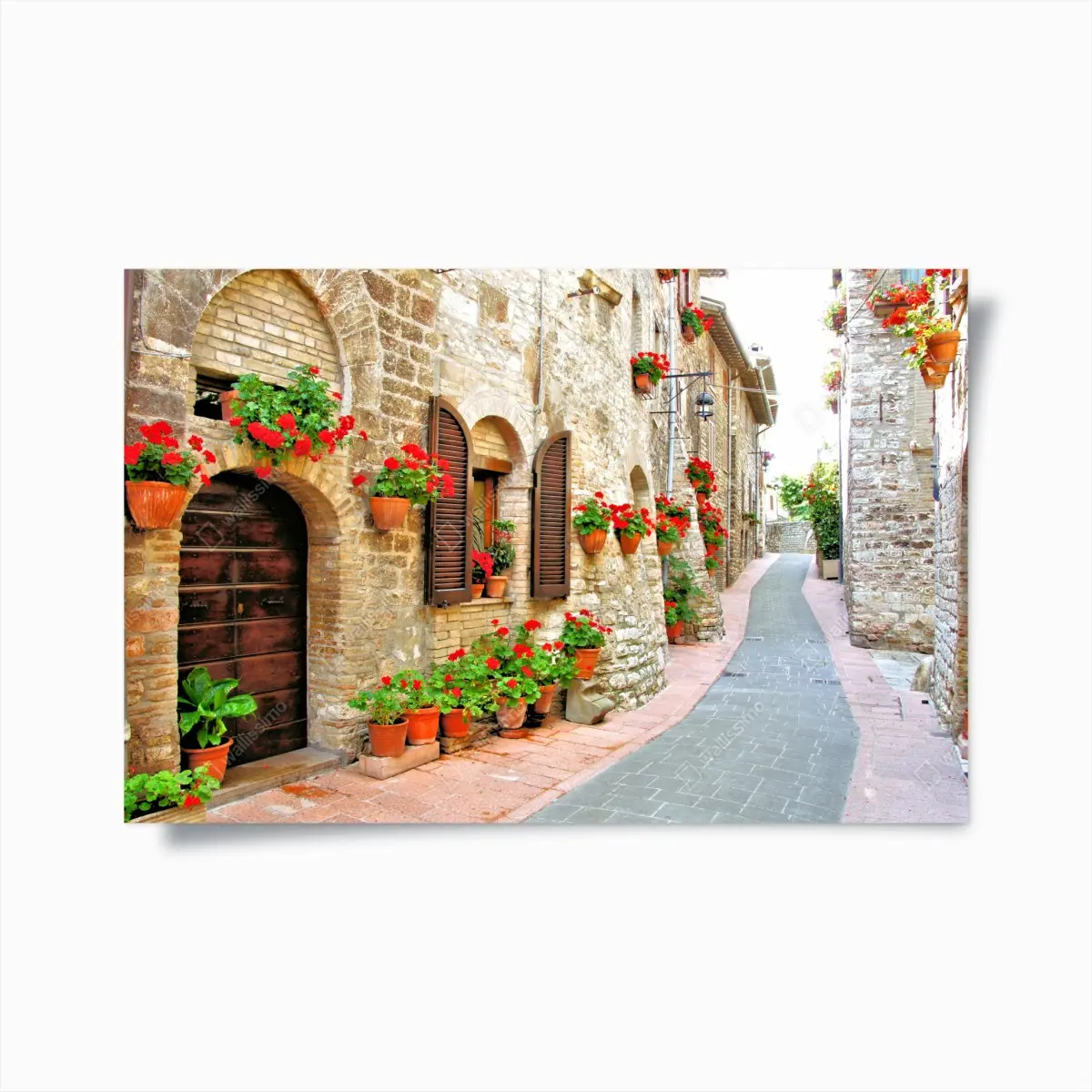 Poster sonnige steingasse mit roten geranien – Pixers®