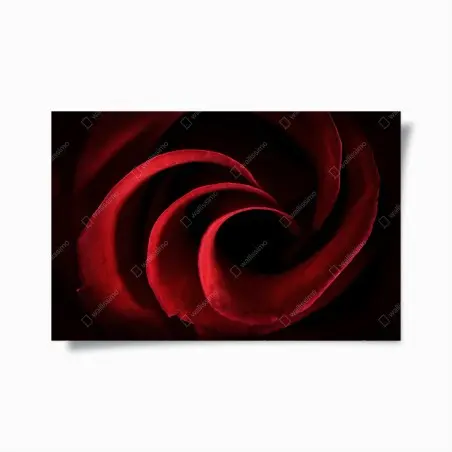 Poster spirale aus tiefroten rosenblättern – Pixers®