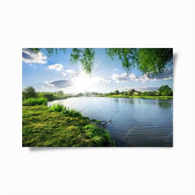 Poster sonnenbeschienenes flussufer mit üppigem grün
