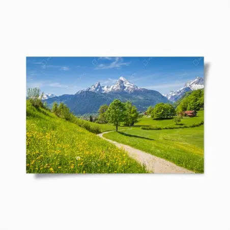 Poster alpine frühlingswiese mit schneebedeckten gipfeln – Pixers®