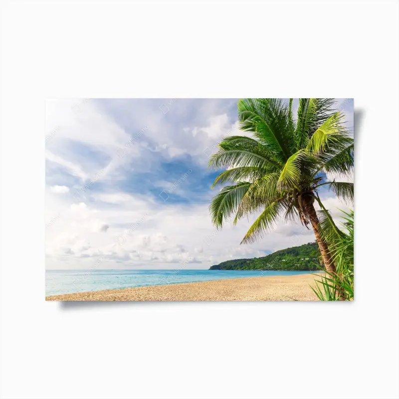 Poster tropischer strand in Phuket mit palme