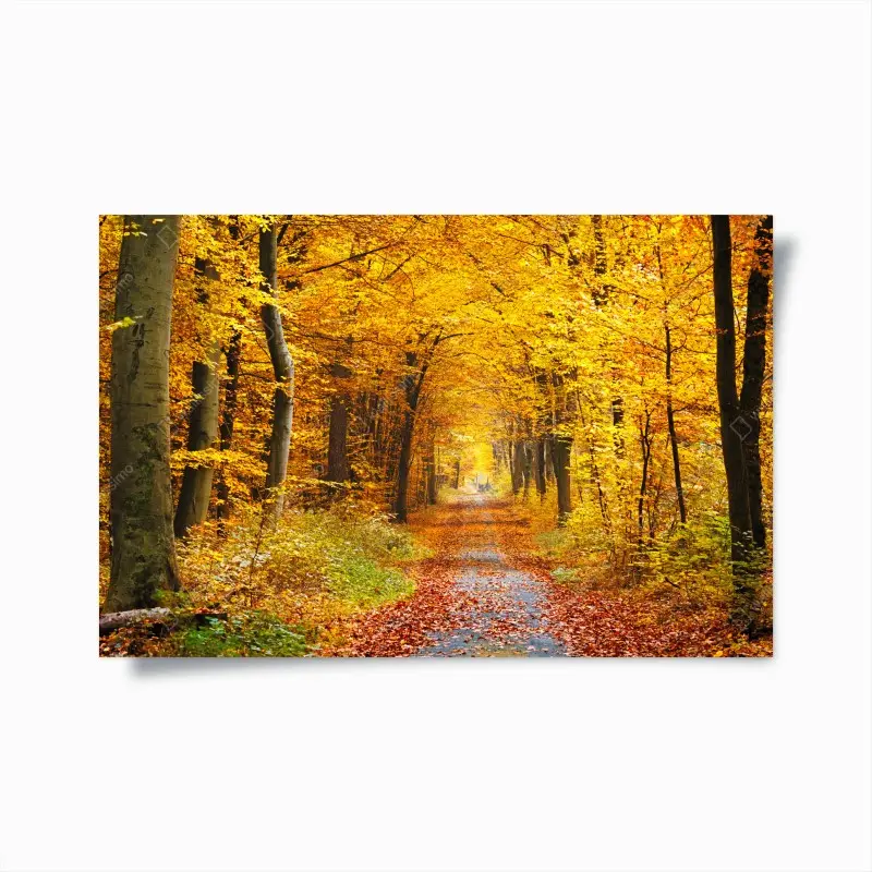 Poster goldener herbstwald pfad