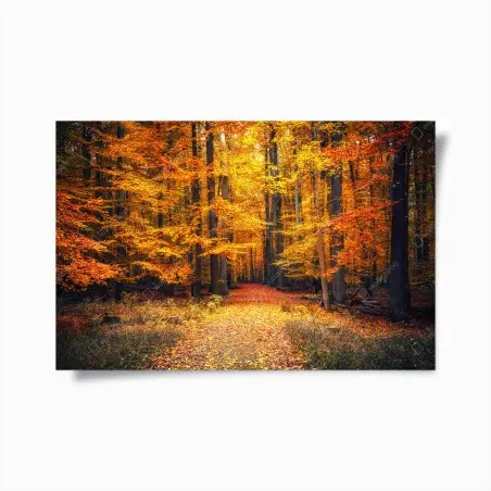 Poster herbstlicher waldpfad mit goldenen blättern – Pixers®