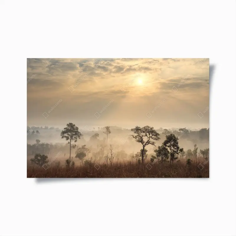 Poster Thailand sawanne bei sonnenaufgang