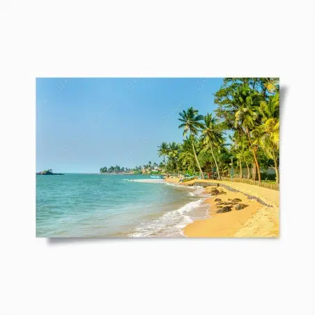 Poster tropischer palmenstrand – Pixers®