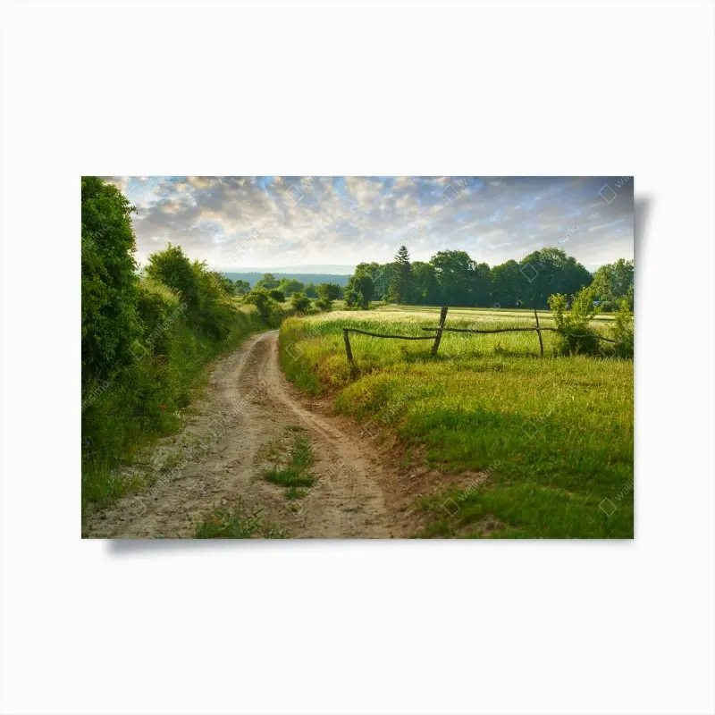 Poster sonniger landweg durch grüne wiesen