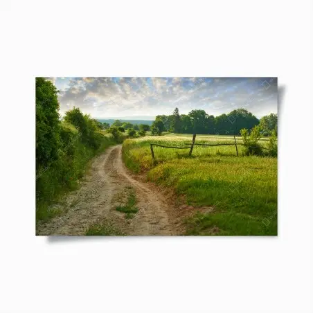 Poster sonniger landweg durch grüne wiesen – Pixers®