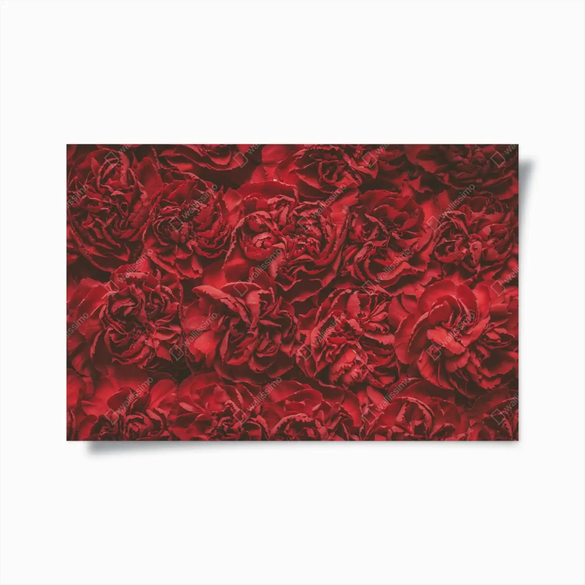 Poster vintage rote nelken blumenmuster – Pixers®