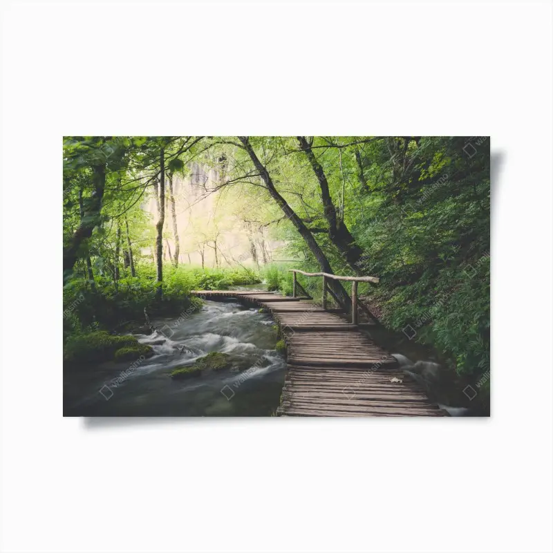 Poster ruhiger hölzerner steg durch grünen wald