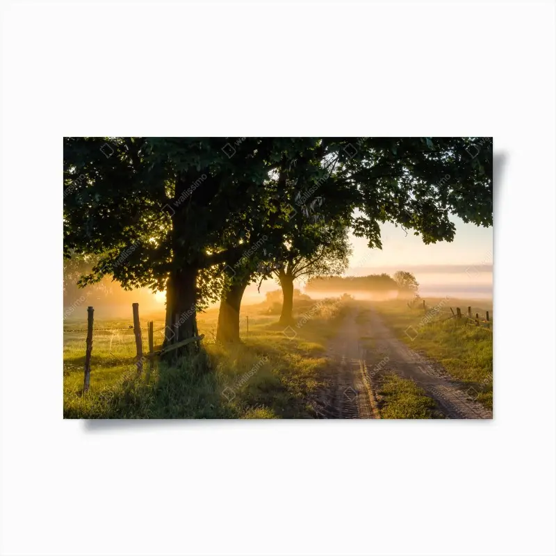 Poster sonnenbeschienener landweg im morgendunst