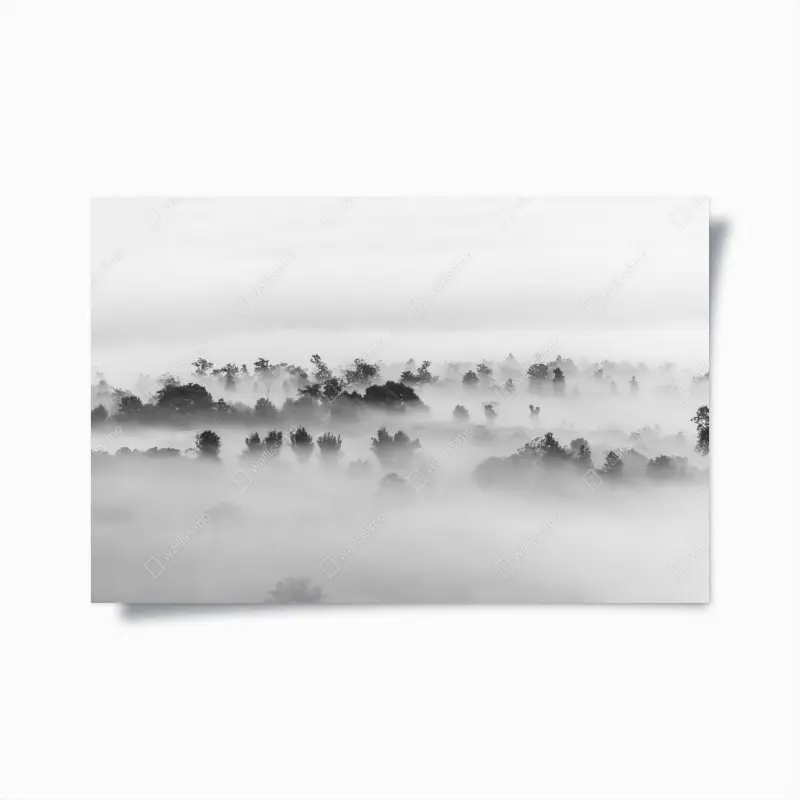 Poster nebliger wald in monochrom