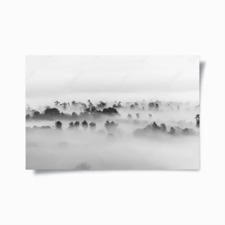 Poster nebliger wald in monochrom – Pixers®