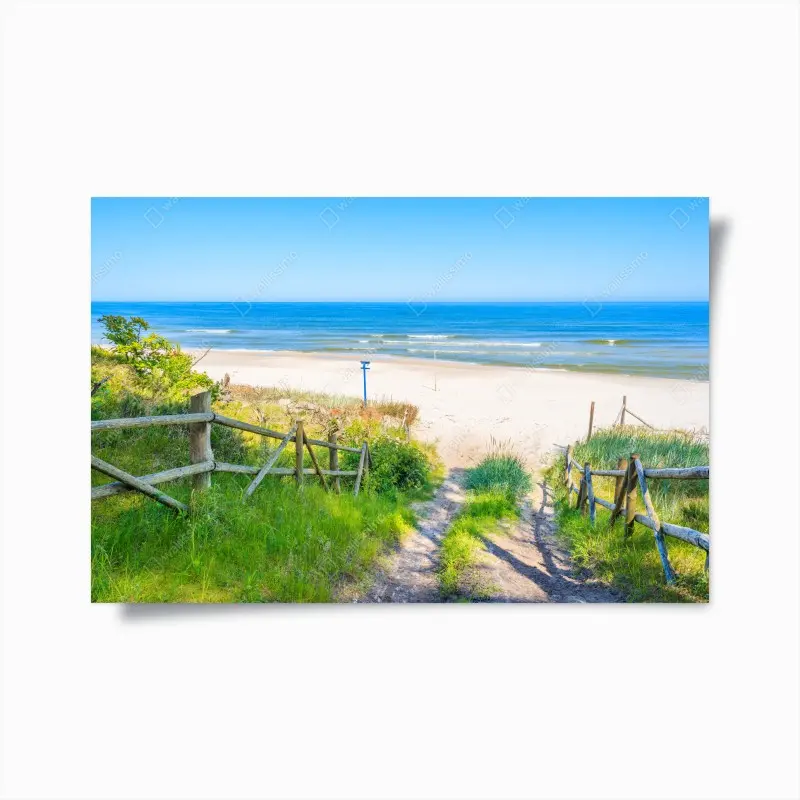 Poster weg zum strand der Ostsee