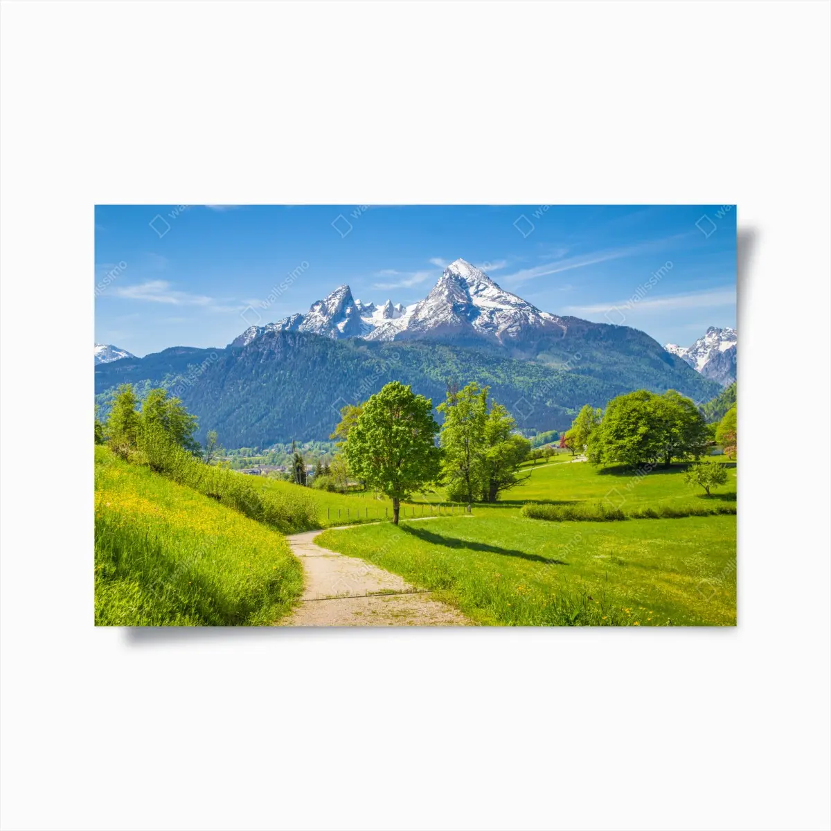 Poster ruhige alpenwiese mit berggipfeln – Pixers®