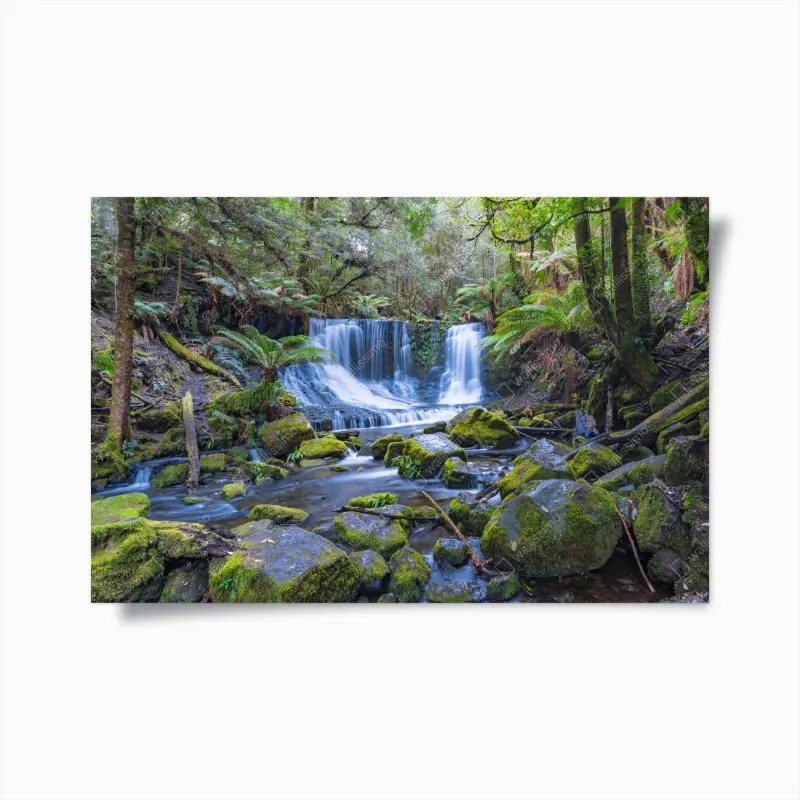 Poster friedlicher waldwasserfall