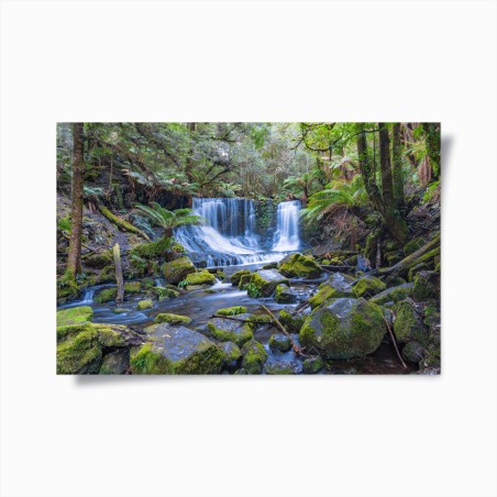 Poster friedlicher waldwasserfall – Pixers®