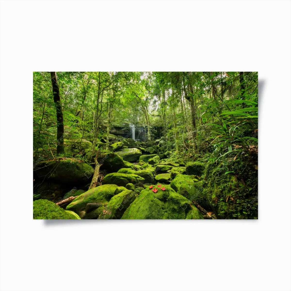 Poster üppiger moosbewachsener wasserfall im tropischen wald – Pixers®