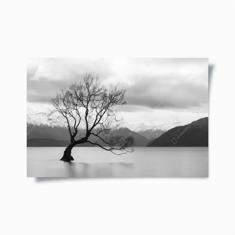 Poster einsamer baum im see in schwarzweiß