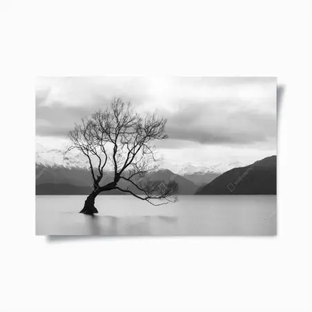 Poster einsamer baum im see in schwarzweiß – Pixers®