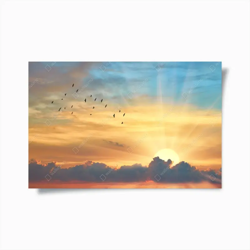 Poster goldener sonnenaufgang über den wolken