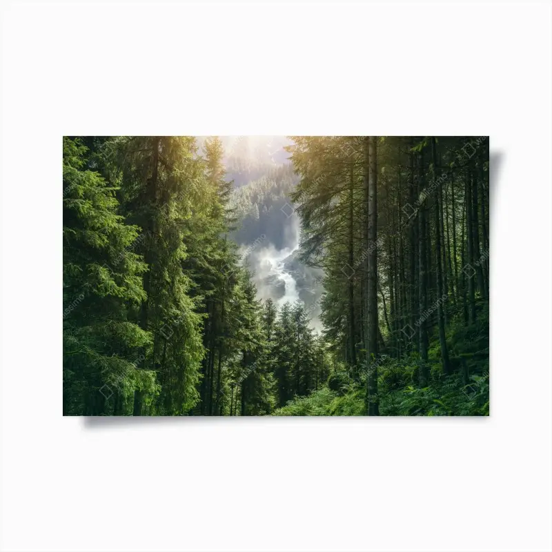 Poster Krimml wasserfall im üppigen alpinen wald