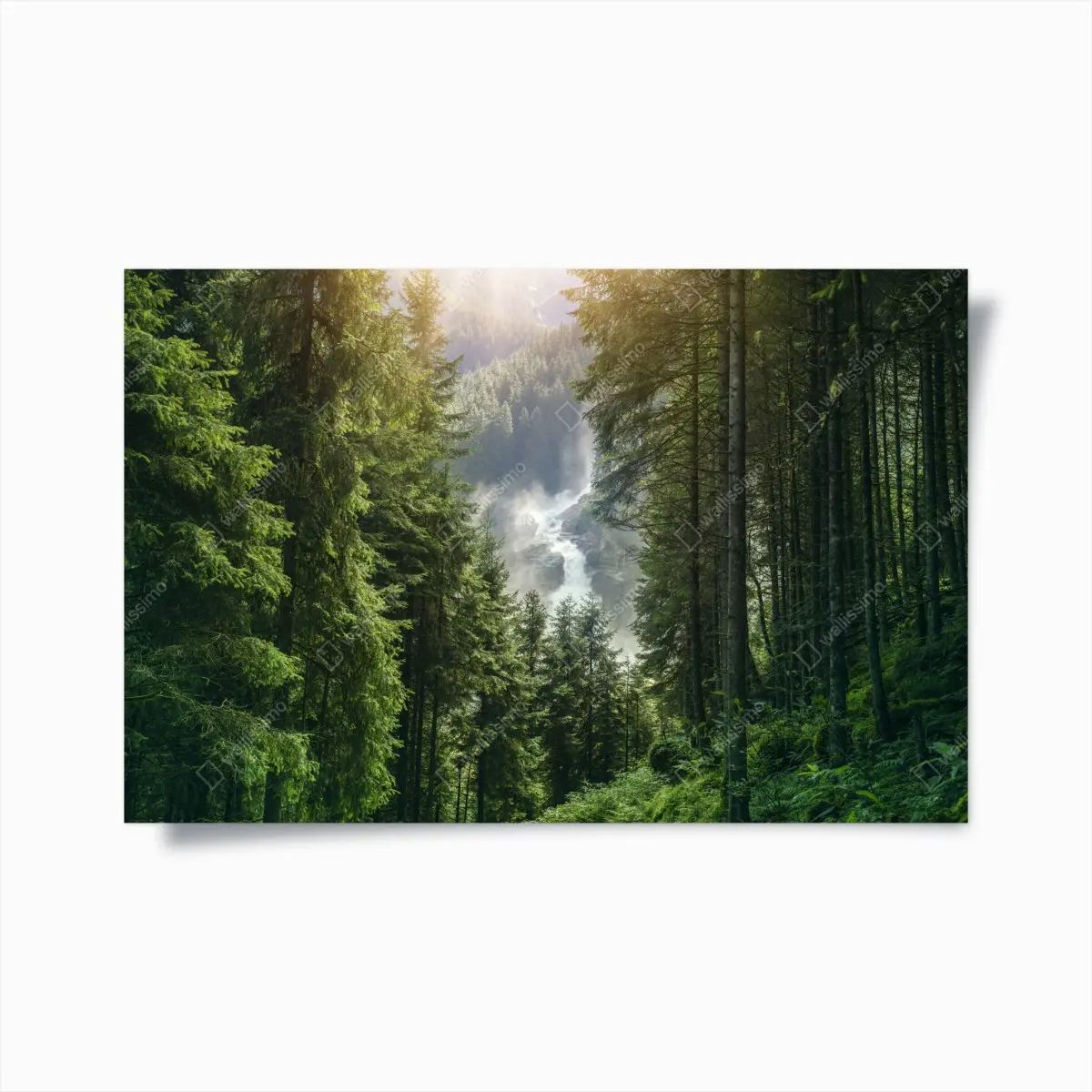 Poster Krimml wasserfall im üppigen alpinen wald – Pixers®