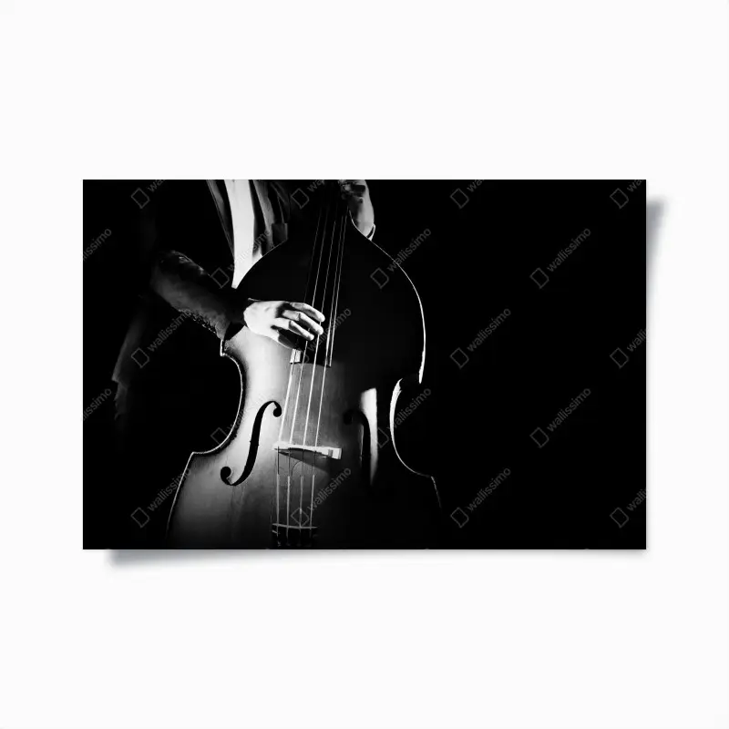 Poster kontrabassist im dramatischen licht