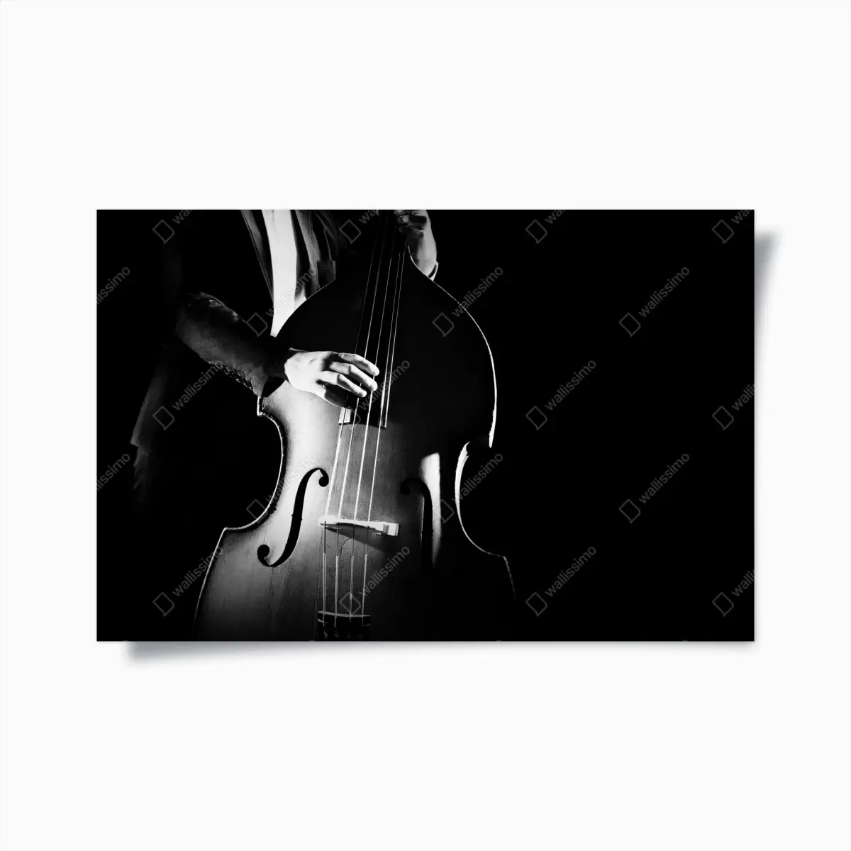 Poster kontrabassist im dramatischen licht – Pixers®