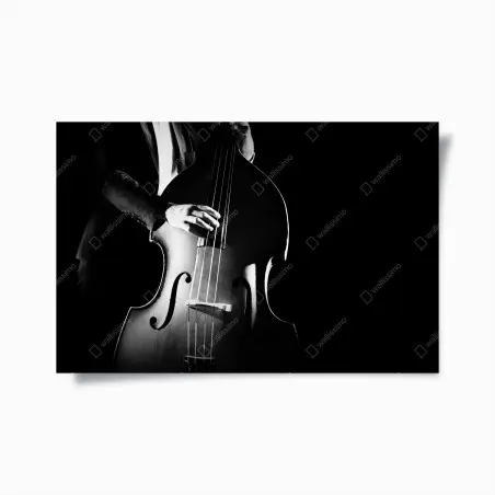 Poster kontrabassist im dramatischen licht – Pixers®
