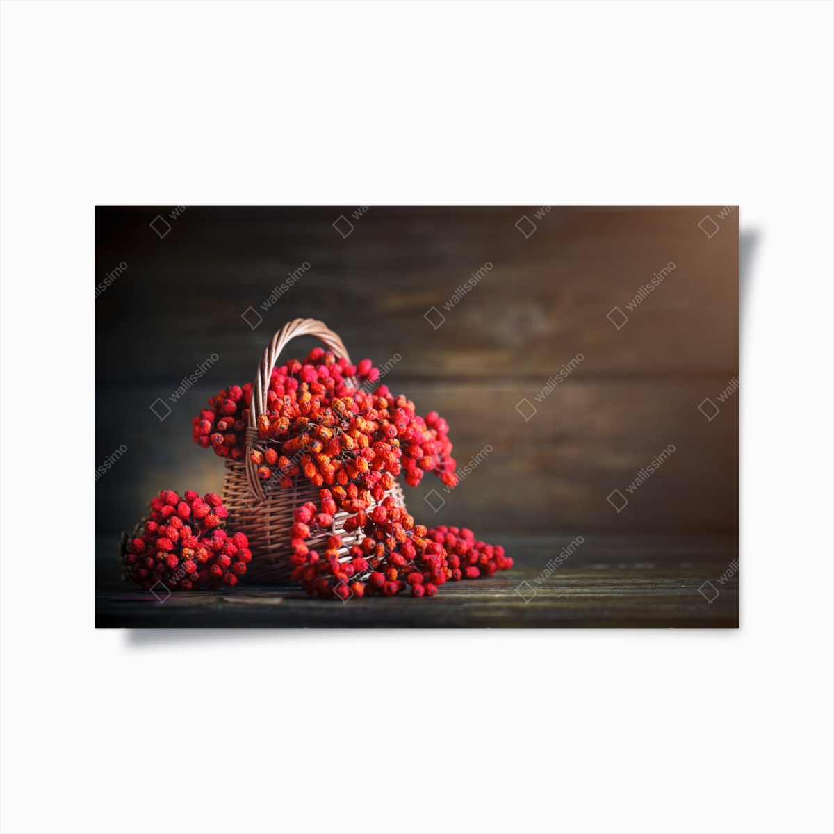 Poster herbstliche vogelbeeren im weidenkorb – Pixers®