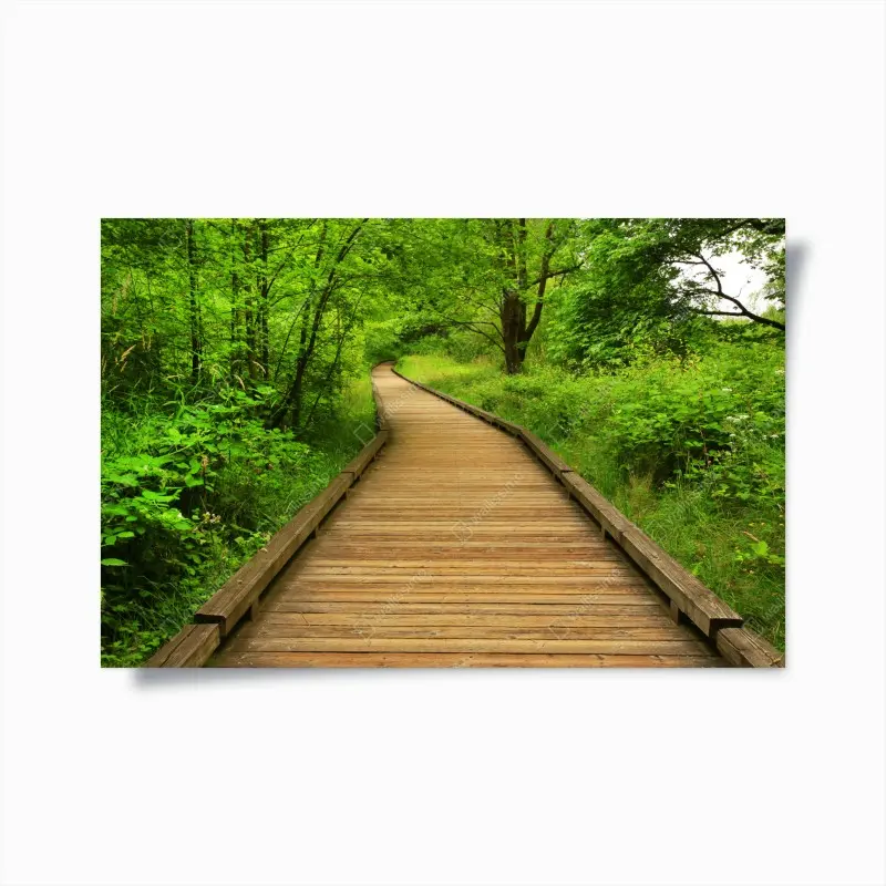 Poster ruhiger holzsteg im wald