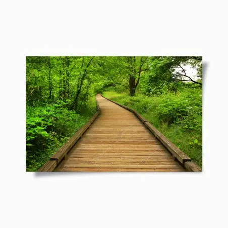 Poster ruhiger holzsteg im wald – Pixers®
