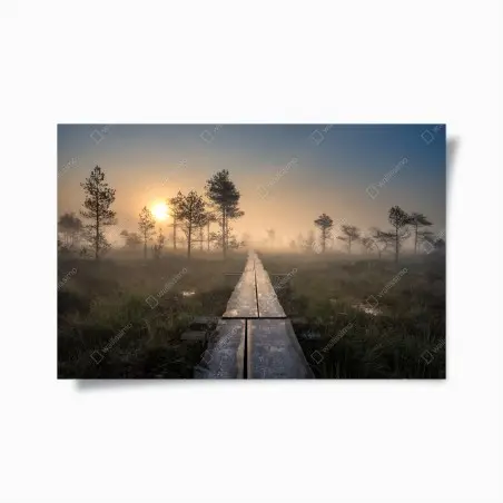 Poster nebliger sonnenaufgang über dem holzsteg – Pixers®