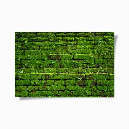 Poster üppige moosbedeckte ziegelwand – Pixers®