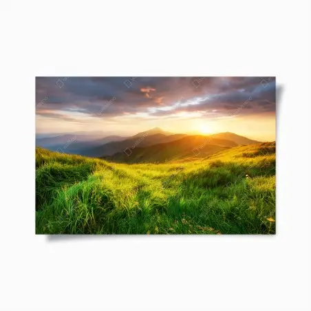 Poster sonnige bergwiese bei sonnenaufgang – Pixers®