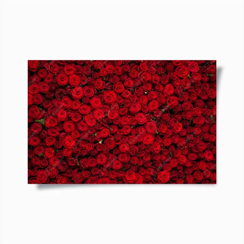 Poster endlose wand aus roten rosen