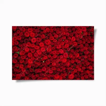 Poster endlose wand aus roten rosen – Pixers®