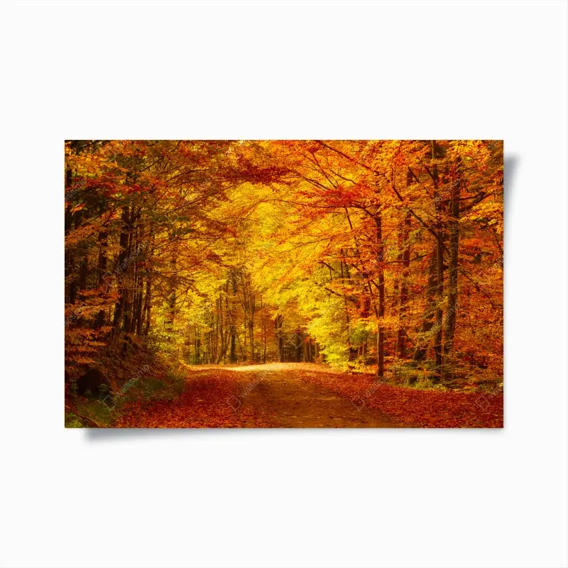 Poster goldener herbstwaldweg