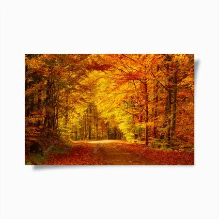 Poster goldener herbstwaldweg