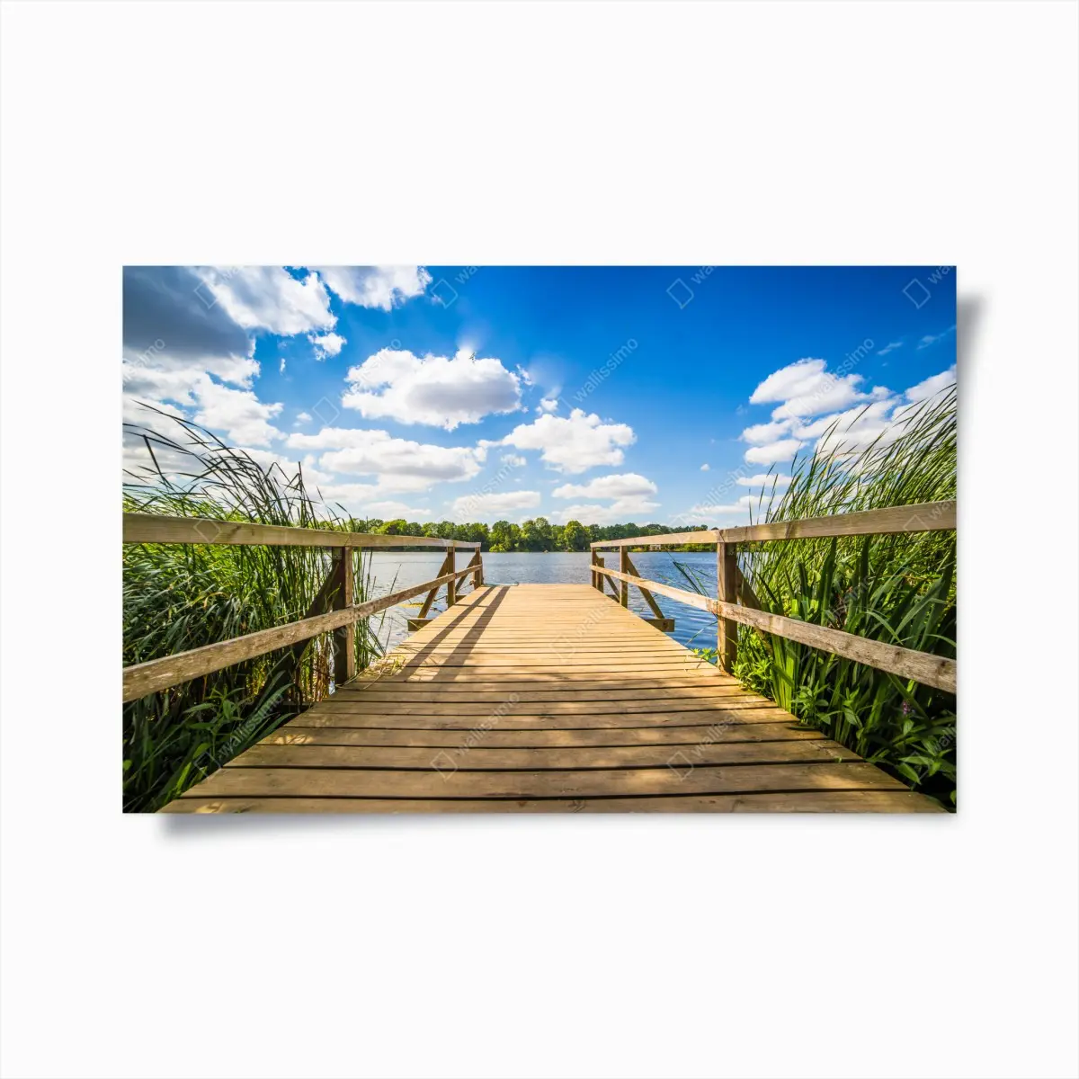 Poster sonniger steg am see – Pixers®