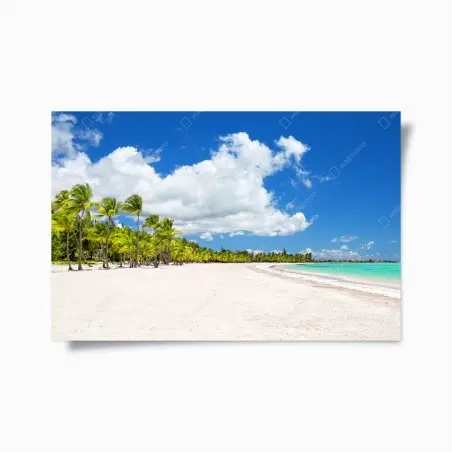 Poster tropischer strand in Punta Cana – Pixers®